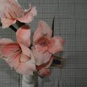 TF000910-2