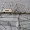 TF000913-2