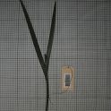 TF000926-2