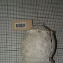 TF000974-2