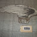 TF001536-2