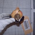 TF004130-6
