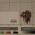TF005955-3