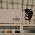 TF005965-3