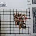TF006033-2