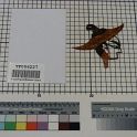 TF006227-2