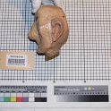 TF008048-2