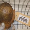TF008149-3
