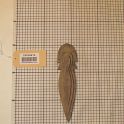 TF008874-1 Afrika,Figur,Holz,Fritz Fey,2010
