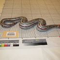 TF008899-3