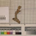 TF009138-2