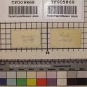 TF009868-2