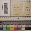 TF009873-1 Europa,Blatt,Papier,Fritz Fey,2010