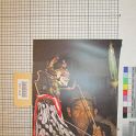 TF011383-1 Europa,Blatt,Papier,Fritz Fey,2010