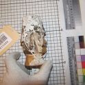 TF011662-4