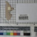 TF015454-2