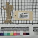TF016570-2