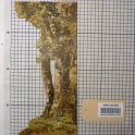TF018360-1 Europa,Bühnenbild,Pappe-Holz,Fritz Fey,2010