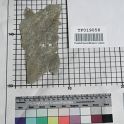 TF019058-2