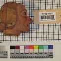 TF019512-4