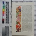 TF020352-1 Europa,Blatt,Papier,Fritz Fey,2011