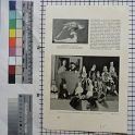 TF020362-1 Europa,Blatt,Papier,Fritz Fey,2011