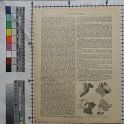 TF020414-1 Europa,Blatt,Papier,Fritz Fey,2011