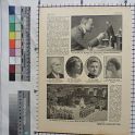 TF020439-1 Europa,Blatt,Papier,Fritz Fey,2011