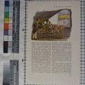 TF020876-1 Europa Deutschland Braunschweig,Blatt,Papier,Fritz Fey,1929