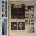 TF020904-1 Europa Deutschland Berlin,Blatt,Papier,Fritz Fey,1943