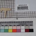 TF021215-2