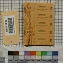 TF022874-1 Europa Deutschland,Blatt,Papier,Fritz Fey,2010