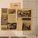 TF023356-1 Europa,Blatt,Papier,Fritz Fey,2011