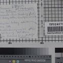 TF024079-1 Europa Deutschland,Blatt,Papier,Fritz Fey,2011