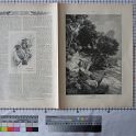 TF024543-1 Europa Deutschland,Blatt,Papier,Fritz Fey,2011