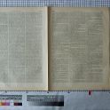 TF024565-1 Europa Deutschland,Blatt,Papier,Fritz Fey,2011