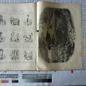 TF024578-1 Europa Deutschland,Blatt,Papier,Fritz Fey,2011