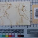 TF025152-1 Europa Deutschland,Blatt,Papier,Fritz Fey,2011