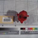 TF025936-5
