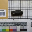 TF026226-2
