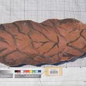 TF026613-1 Europa,Bühnenbild,Holz,Fritz Fey,2011