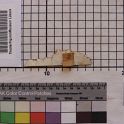 TF027469-2