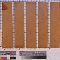 TF027498-2