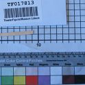 TF017813-2