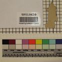 TF019639-2